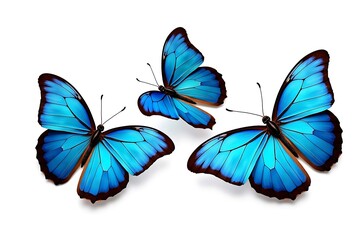 Three vibrant blue morpho butterflies in graceful flight against a pure white background, showcasing their iridescent wings and delicate beauty.