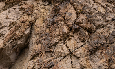 Close-Up Rocky Surface Texture in BC, Canada with Natural Patterns