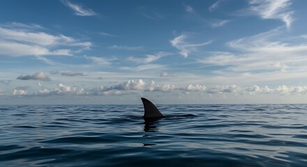 Fototapeta premium A lone shark fin cuts through the serene ocean surface under a vast, breathtaking sky filled with fluffy white clouds.