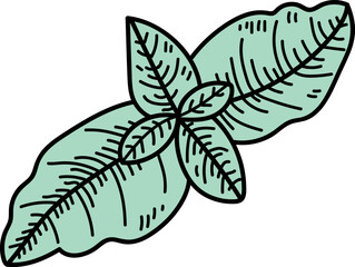 Detailed Sketch of Basil Leaves
