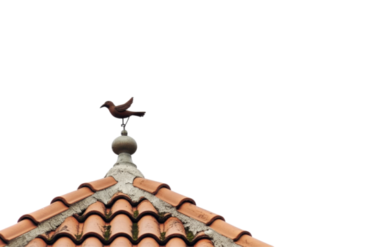 Weather vane with birds perched on top of a rooftop featuring terracotta tiles captured in daylight against a clear sky