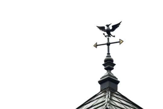 Weather vane with birds perched on top of a rooftop featuring terracotta tiles captured in daylight against a clear sky