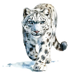 A watercolor vector of a snow leopard, isolated on a white background. Snow leopard vector.

