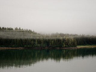 Foggy tree line