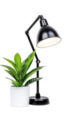 Modern Desk Lamp and Potted Plant on a White Background