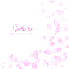 ピンクの背景に桜の花を装飾したイラストフレーム　正方形
