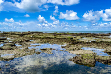 Piedade Beach - Jaboatao, Pernambuco state - Brazil - March 25