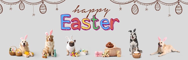 Banner for Easter celebration with cute dogs on grey background