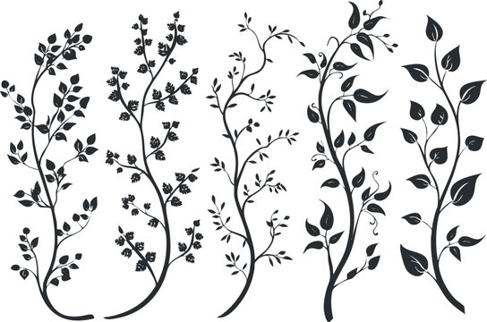 Elegant floral vine silhouettes for decorative design and botanical themes.