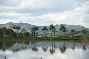 Obraz premium lake and mountains