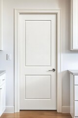 A sleek white interior door featuring a panel design can be seen in a contemporary kitchen, highlighting minimalist decor and crisp, clean lines illuminated by daylight
