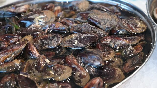 vassoio con cozze crude in acqua