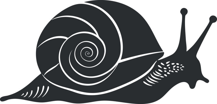 recommend clip art: Silhouette of a snail with spiral shell for design and nature themes.