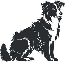Fototapeta premium Black and white illustration of a sitting border collie dog in vector silhouette style.