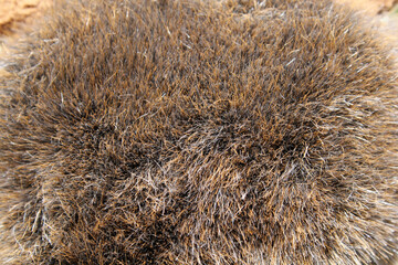 Brown and orange plush faux fur fabric material abstract close-up textured background