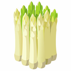 Vector illustration of asparagus, depicted in green, isolated on a white background, showcasing its elongated shape and texture.