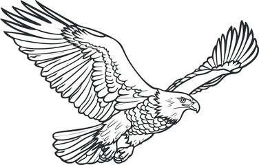 Obraz premium Black and white illustration of an eagle in flight, showcasing detailed wings and feathers.