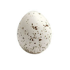 Realistic Quail Egg PNG Isolated on Transparent Background