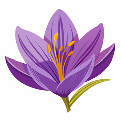 Fototapeta premium Violet flower isolated of a white background 