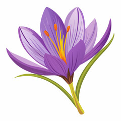Fototapeta premium Violet flower isolated of a white background 