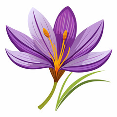 Fototapeta premium Violet flower isolated of a white background 