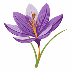 Fototapeta premium Violet flower isolated of a white background 