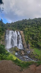 waterfall in the forest