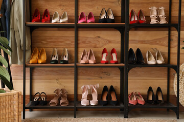 Stylish female shoes on shelves near wooden wall in room