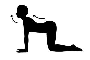 black vector image silhouette modern yoga exercises, beauty, body line art. For use as a brochure template or for use in web design.