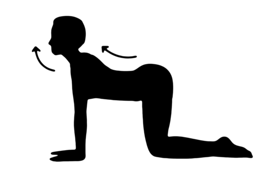 black vector image silhouette modern yoga exercises, beauty, body line art. For use as a brochure template or for use in web design.