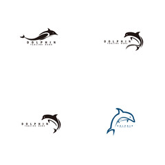 Dolphin logo variations