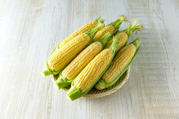 とうもろこし　ゴールドラッシュ　Corn Gold Rush