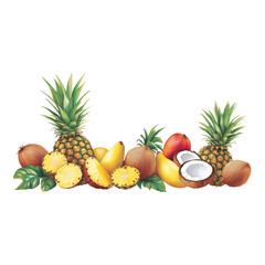 Assortment of Tropical Fruits