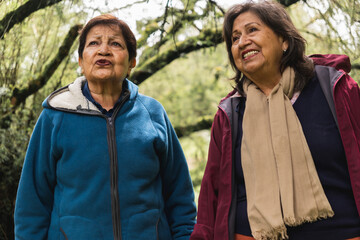 Naklejka premium Two senior women enjoying a relaxing walk in nature