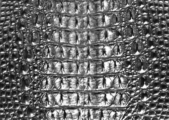 crocodile skin, realistic texture lizard pattern, color dark gray. print. camouflage popular pattern