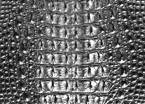 crocodile skin, realistic texture lizard pattern, color dark gray. print. camouflage popular pattern