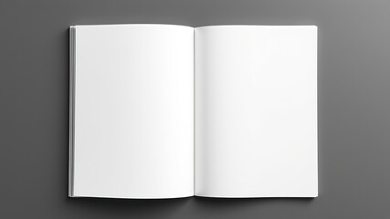 Blank 8.5x11 Book Mockup for Design Concepts