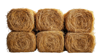 Haystacks neatly bundled on a white background