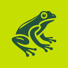 frog on a white background