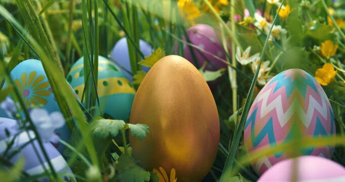 Loop of Easter eggs painted and hidden in a meadow of springtime flowers. Looping sunlight shifting through blooming wildflowers with decorated Easter eggs for an Easter egg hunt tradition.