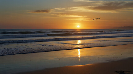 Naklejka premium sunset on the beach