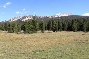 View of Tuolumne Meadows and the peaks of Sierra Nevada