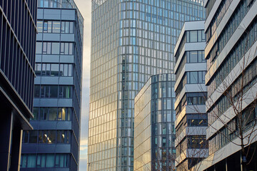 Obraz premium Modern glass skyscrapers reflecting blue sky and surrounding city. High-rise office buildings with curved glass facades. Contemporary architecture in city business district