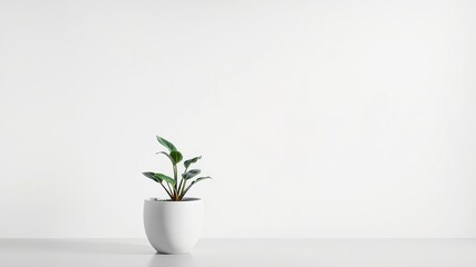 Green Growth in a Modern Planter Design Concept