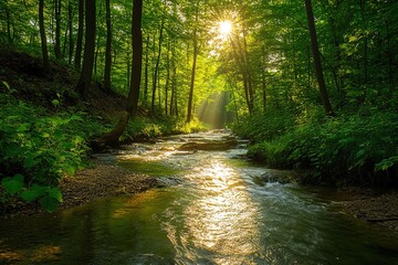 Obraz premium Serene Meandering Brook Flowing Through Green Forest, Sunlight Filtering Through Foliage to Create a Mesmerizing Display on the Tranquil Water Surface