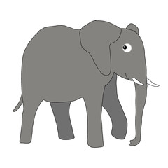 animals