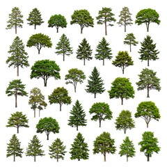 set of trees isolated