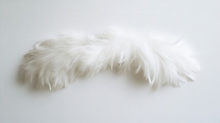 clean and modern white wool duster, its feathery ends beautifully detailed on a simple white background