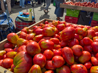 Oxheart tomatoes for sale at an outdoor market. Flavorsome heirloom variety. At Avondale Sunday Market in Auckland. New Zealand's longest-running market.