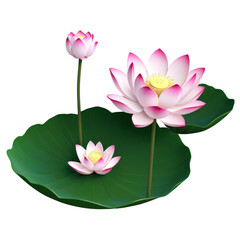 A set of lotus flower PNG cut-outs on a transparent background, symbolizing purity and enlightenment, perfect for Buddhist-themed designs and spiritual projects.